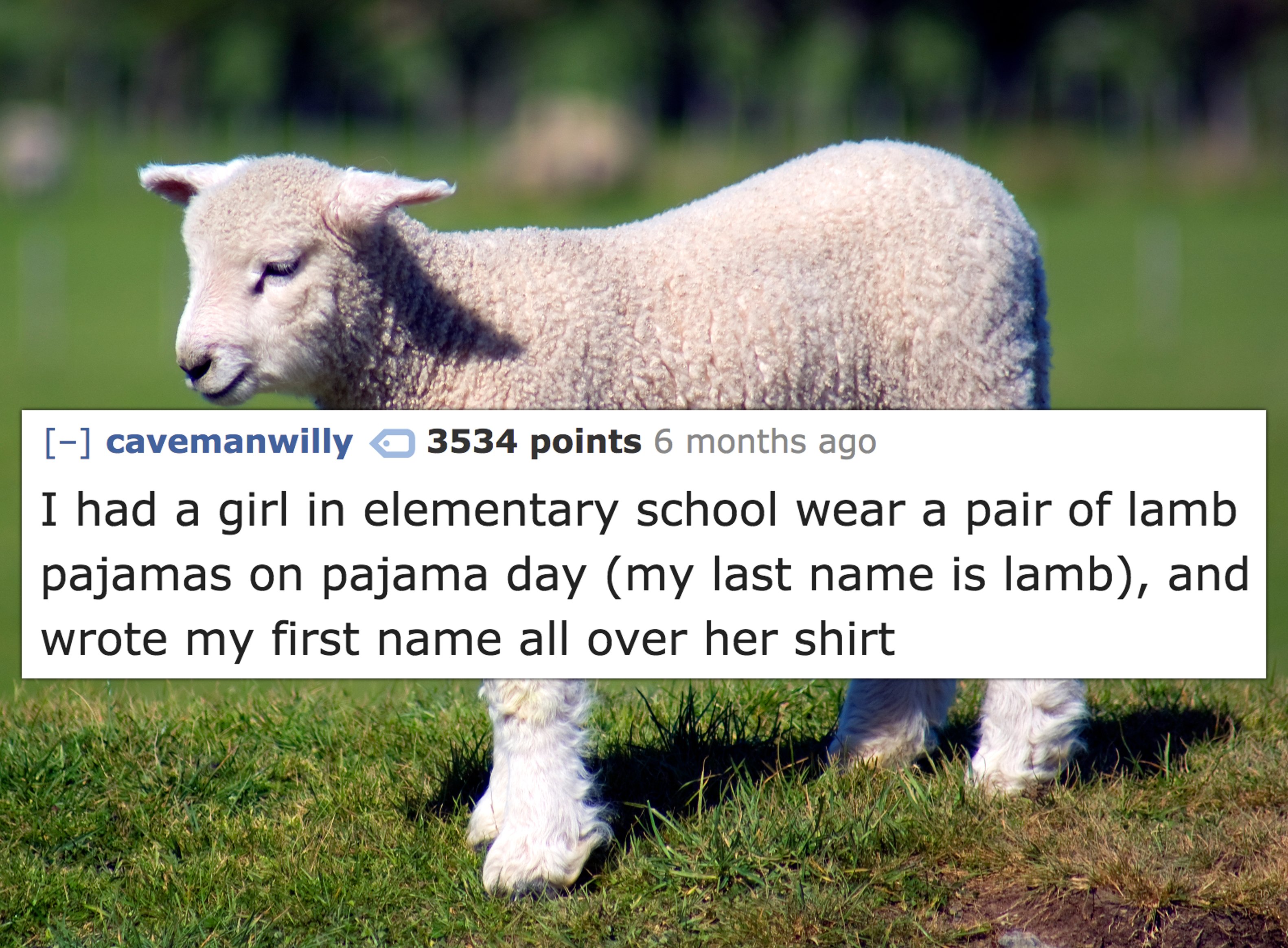 cavemanwilly 3534 points 6 months ago I had a girl in elementary school wear a pair of lamb pajamas on pajama day my last name is lamb, and wrote my first name all over her shirt