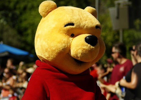 Winnie the Pooh has been banned from Tuszyn, Poland.