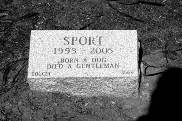 headstone - Sport 1993 2005 Born A Dog Died A Gentleman Doucet 5569