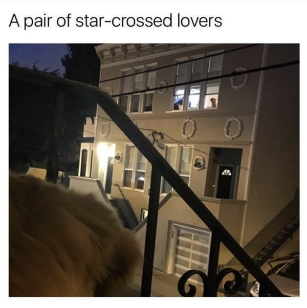 wholesome long distance relationship meme - A pair of starcrossed lovers