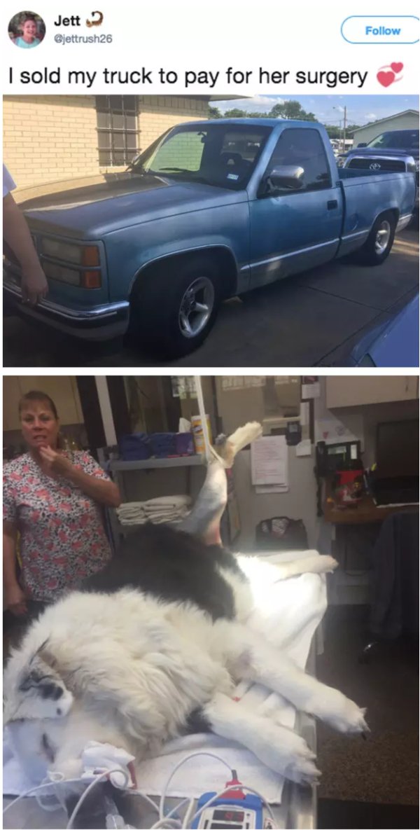 sold my truck for my dogs surgery - Jett I sold my truck to pay for her surgery