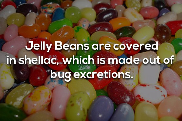 18 Facts that are as gross as they are interesting