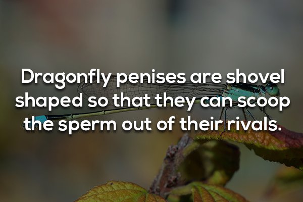 18 Facts that are as gross as they are interesting