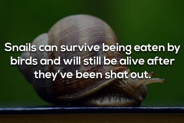 18 Facts that are as gross as they are interesting