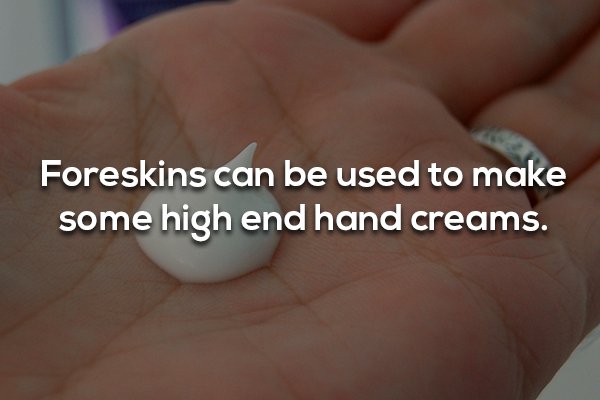 18 Facts that are as gross as they are interesting