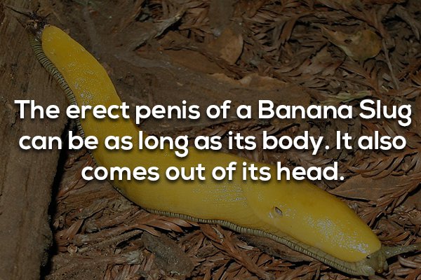 18 Facts that are as gross as they are interesting