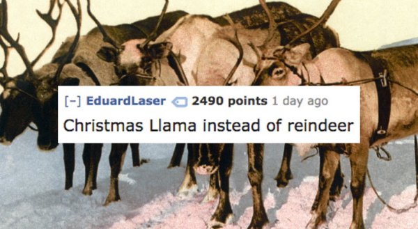 19 Funniest Things People Have Called Objects They Couldn't Remember