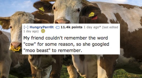 19 Funniest Things People Have Called Objects They Couldn't Remember