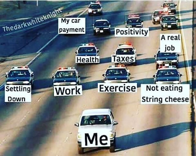 my car meme - My car payment Thedarkwhiteknighu Positivity A real job Health Taxes Srl Settling Down Work Exercise Not eating String cheese ?