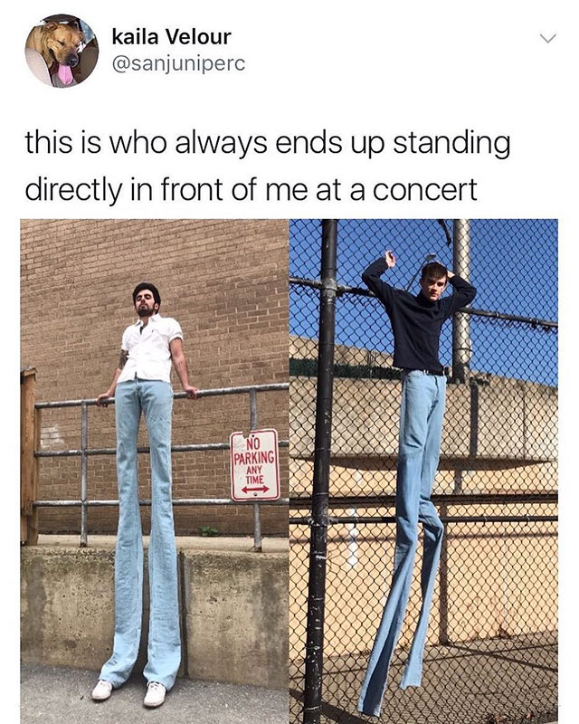 tall people are memes - kaila Velour this is who always ends up standing directly in front of me at a concert No Parking Any ce
