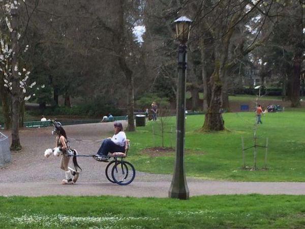 girl pulling pony cart