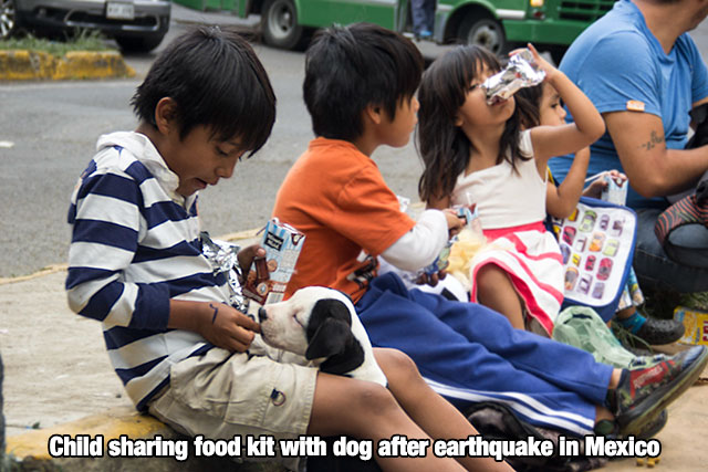 kid sharing his meal with a dog after earthquake in Mexico