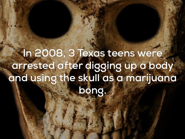 Disturbing fact about 3 Texas teens that got arrested for using a skull from grave they dug up to smoke marijuana