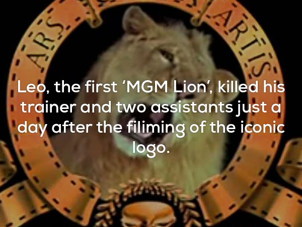Disturbing fact about how Leo, the first MGM lion, killed his trainer and 2 assistants just a day after filming the logo.