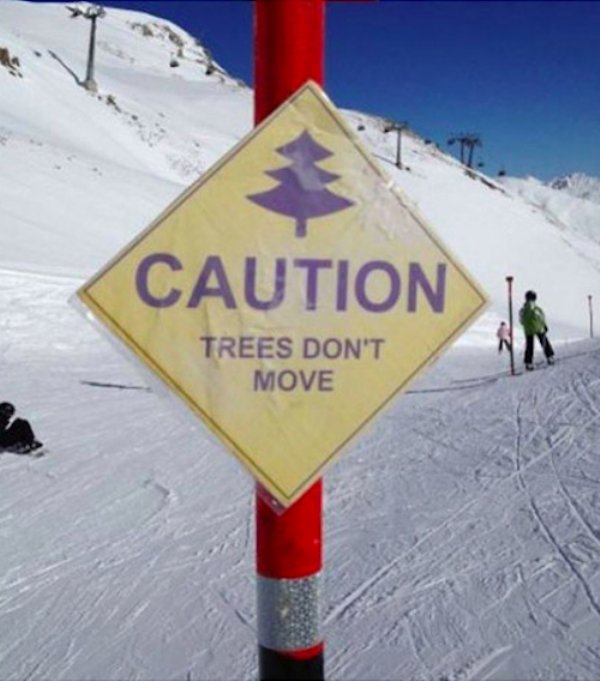 caution trees don t move - Caution Trees Don'T Move