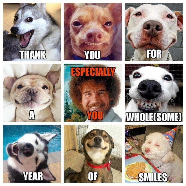 wholesome meme of wholesome meme heart dog - Thank For You Especially Wholecsome Year Smiles