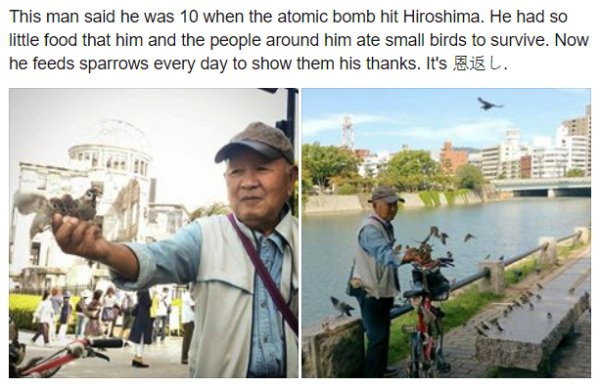 wholesome meme of man feeding birds hiroshima - This man said he was 10 when the atomic bomb hit Hiroshima. He had so little food that him and the people around him ate small birds to survive. Now he feeds sparrows every day to show them his thanks. It's