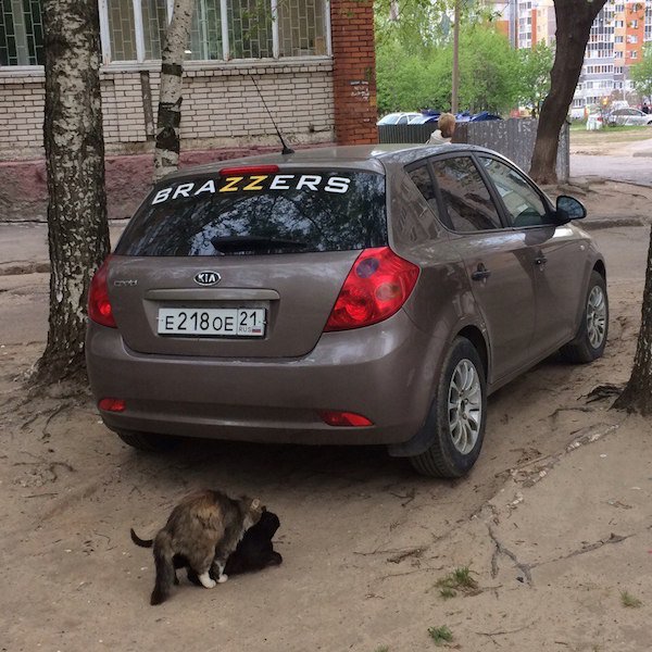 23 WTF pictures from Russia