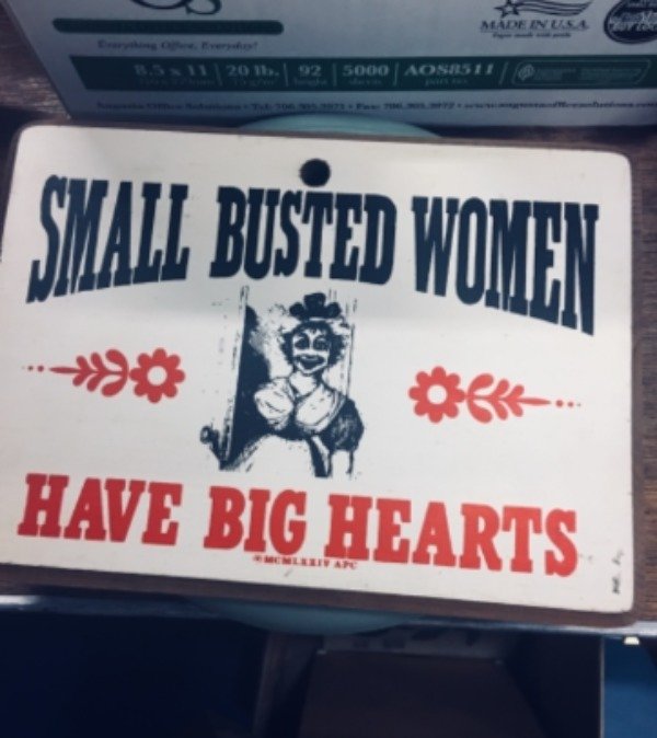 License plate that says Small Busted Women have Big Hearts found at Thrift Shp
