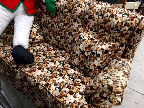 Strange upholstery found at thrift shop couch