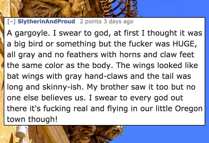 animal - SlytherinAnd Proud 2 points 3 days ago A gargoyle. I swear to god, at first I thought it was a big bird or something but the fucker was Huge, all gray and no feathers with horns and claw feet the same color as the body. The wings looked bat wings