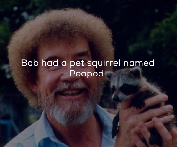 bob ross holding a baby raccoon - Bob had a pet squirrel named Peapod.