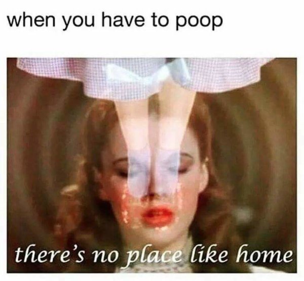 you have to poop meme - when you have to poop there's no place home