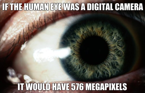 close up - If The Human Eye Was A Digital Camera It Would Have 576 Megapixels