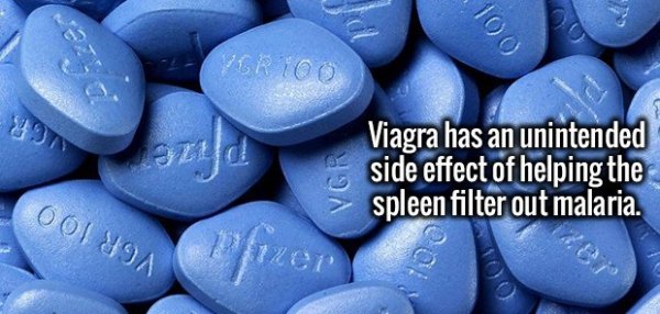 viagra blue tablets - CR100 ad Viagra has an unintended side effect of helping the spleen filter out malaria. 00189