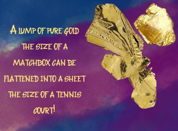Human brain - A Ump Of Pure Gold The Size Of A Matchbox Can Be Flattened Into A Sheet The Size Of A Tennis Court!