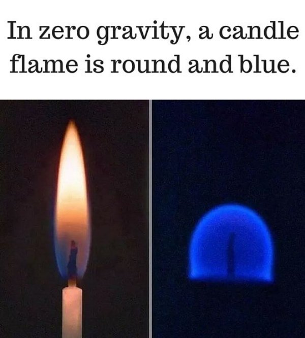 Science - In zero gravity, a candle flame is round and blue.