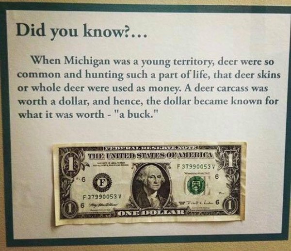 dollar bill - Did you know?... When Michigan was a young territory, deer were so common and hunting such a part of life, that deer skins or whole deer were used as money. A deer carcass was worth a dollar, and hence, the dollar became known for what it wa