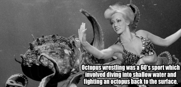 Octopus wrestling was a 60's sport which involved diving into shallow water and fighting an octopus back to the surface.