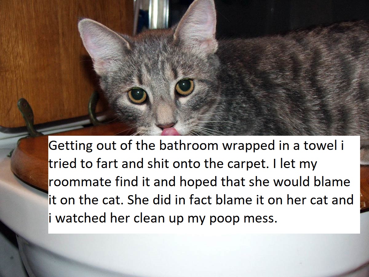 photo caption - Getting out of the bathroom wrapped in a towel i tried to fart and shit onto the carpet. I let my roommate find it and hoped that she would blame it on the cat. She did in fact blame it on her cat and I watched her clean up my poop mess.