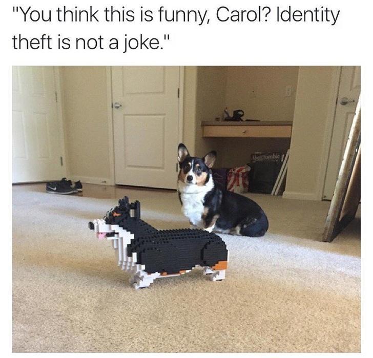 144p vs 1080p dog - "You think this is funny, Carol? Identity theft is not a joke."