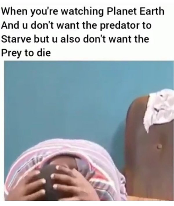 wholesome meme of you re watching planet earth - When you're watching Planet Earth And u don't want the predator to Starve but u also don't want the Prey to die
