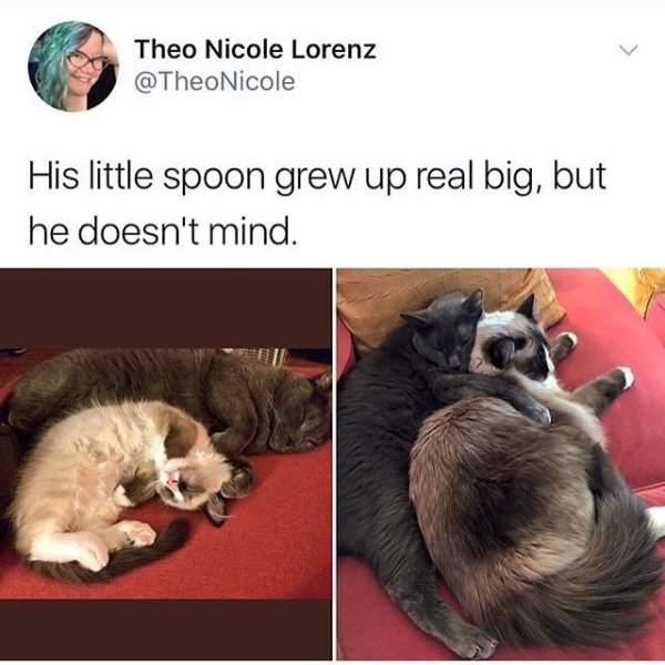 wholesome meme of little spoon meme - Theo Nicole Lorenz His little spoon grew up real big, but he doesn't mind