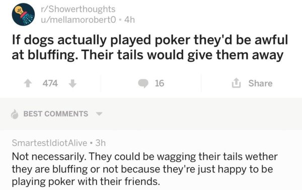 wholesome meme of wholesome reddit - rShowerthoughts umellamoroberto 4h If dogs actually played poker they'd be awful at bluffing. Their tails would give them away 474. 16 Best SmartestidiotAlive 3h Not necessarily. They could be wagging their tails wethe