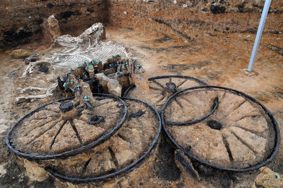 2000 years old Thracian chariot with horse skeletons. Found in Bulgaria.