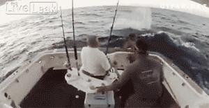 that escalated fish jumping into boat gif