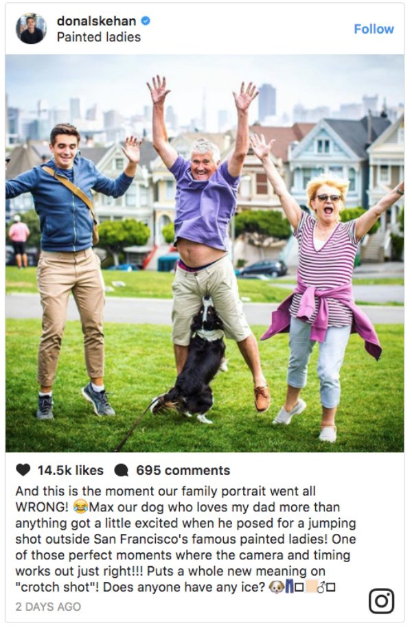 that escalated painted ladies - donalskehan Painted ladies Nina 14 695 And this is the moment our family portrait went all Wrong! Max our dog who loves my dad more than anything got a little excited when he posed for a jumping shot outside San Francisco's