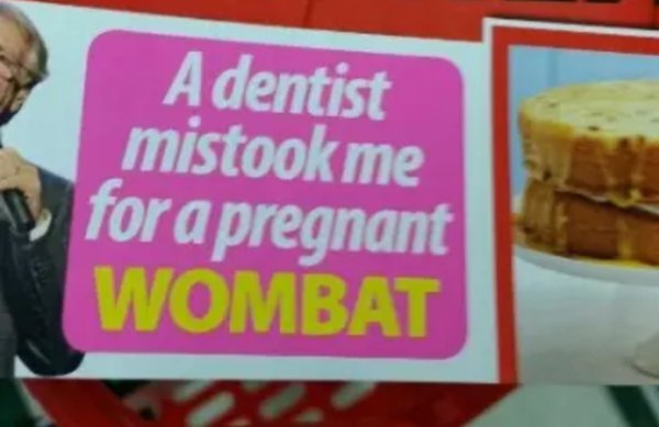 wtf fast food - A dentist mistook me for a pregnant Wombat