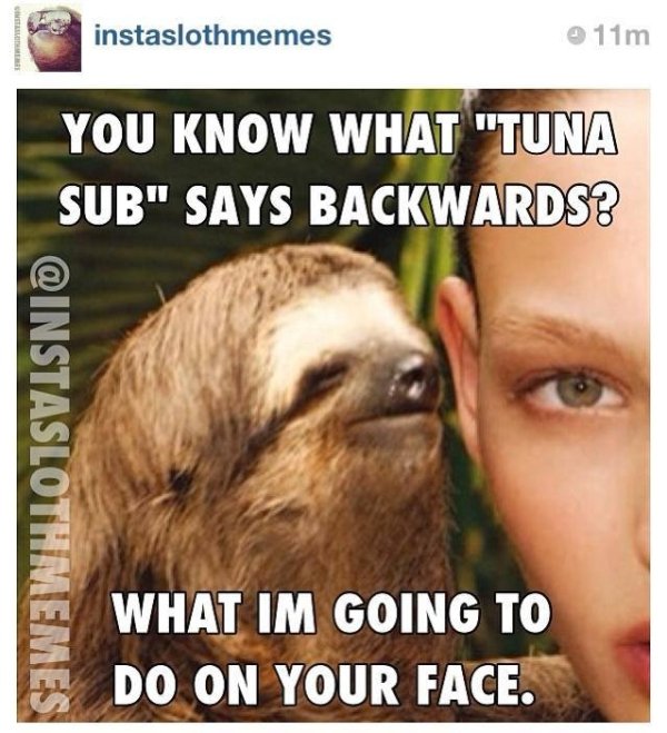 sloth rape memes - instaslothmemes 11m You Know What "Tuna Sub" Says Backwards? What Im Going To Do On Your Face.