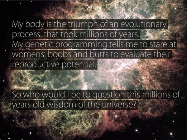 don t fight the universe - My body is the triumph of an evolutionary process, that took millions of years. My genetic programming tells me to stare at womens' boobs and butts to evaluate their reproductive potential. So who would I be to question this mil