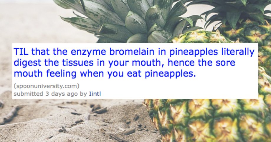 Pineapple - Til that the enzyme bromelain in pineapples literally digest the tissues in your mouth, hence the sore mouth feeling when you eat pineapples. spoonuniversity.com submitted 3 days ago by Iinti