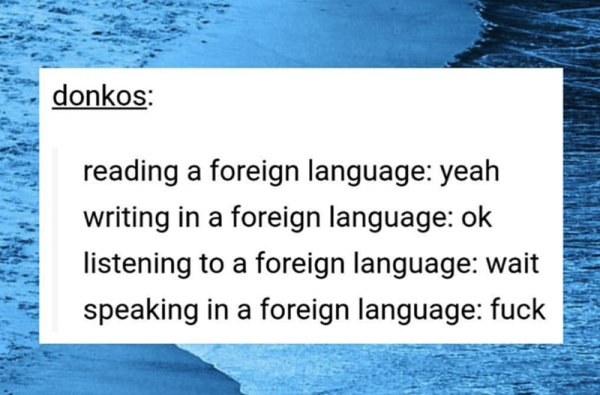 water resources - donkos reading a foreign language yeah writing in a foreign language ok listening to a foreign language wait speaking in a foreign language fuck