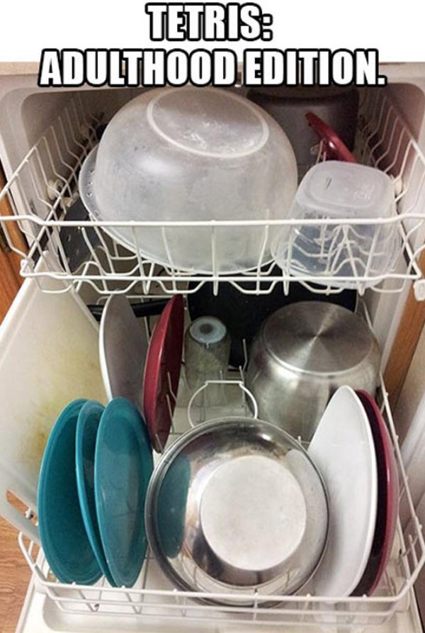 loading dishwasher meme - Tetris Adulthood Edition