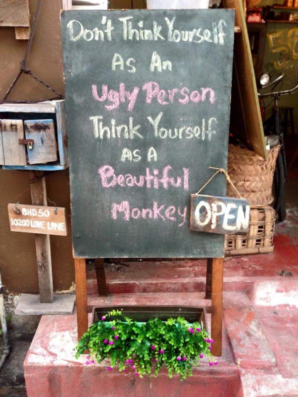 table - Don't Think Yourself As An Ugly person Think Yourself As A Beautiful Monkey Open Bhd 50 10200 Love Lane