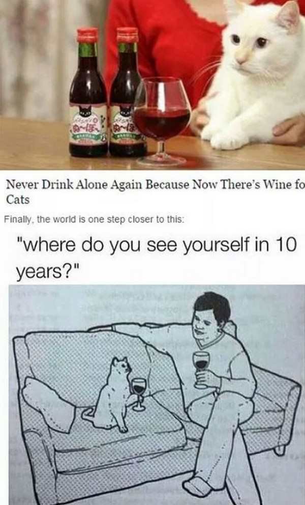 cat wine meme - Never Drink Alone Again Because Now There's Wine fo Cats Finally, the world is one step closer to this "where do you see yourself in 10 years?"