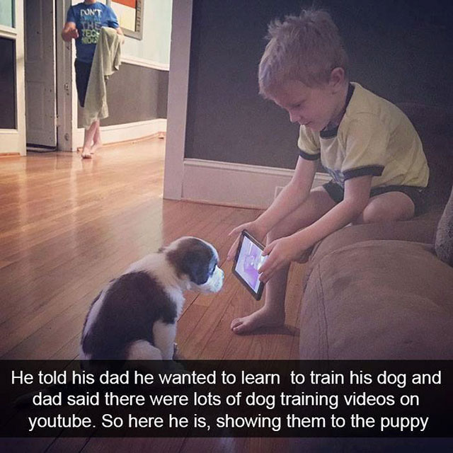 boy showing dog training video - He told his dad he wanted to learn to train his dog and dad said there were lots of dog training videos on youtube. So here he is, showing them to the puppy